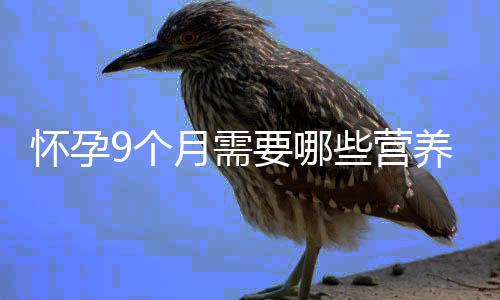 怀孕9个月需要哪些营养