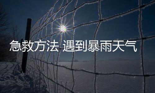 急救方法 遇到暴雨天气如何自救