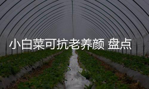 小白菜可抗老养颜 盘点女性吃小白菜的好处